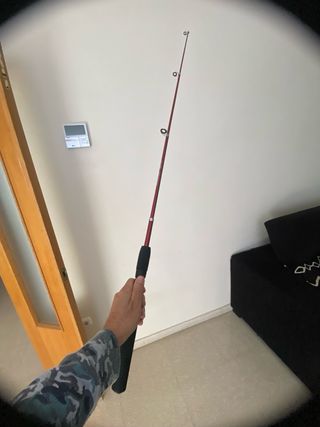 Caña de pescar telescópica Zebco