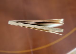 Cuento de la selva, de Quiroga