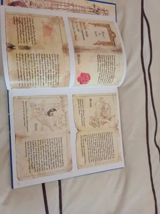 La Gran Aventura dels Gnoms - Editorial Molino