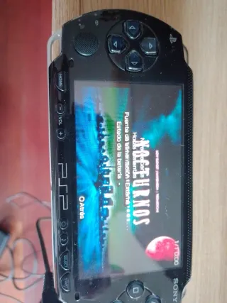 Psp 1004