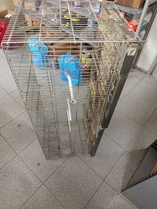 Jaula Metro Canarios