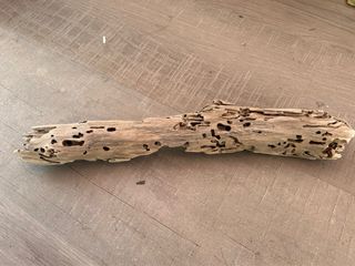 Tronco para terrario o acuario