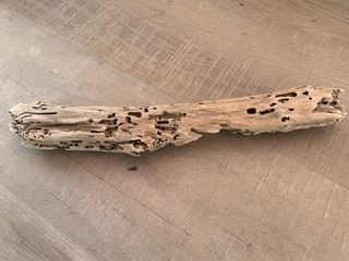 Tronco para terrario o acuario