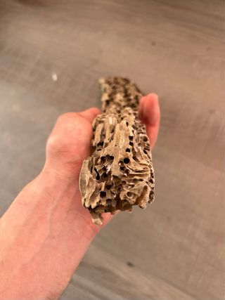 Tronco para terrario o acuario