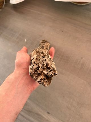 Tronco para terrario o acuario