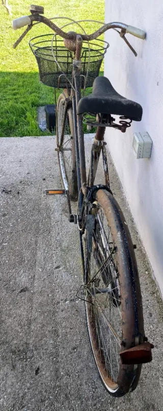 Bici da donna da sistemare