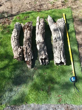 Lote 4 cilindros corcho 60-80cm