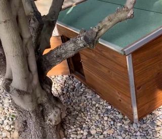 Casita exterior para perros de madera