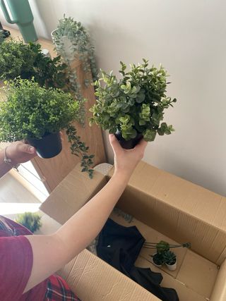 Set plantas artificiales decorativas