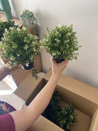 Set plantas artificiales decorativas