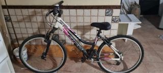 Bicicleta Montaña