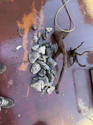 Pack pecera 200L y accesorios