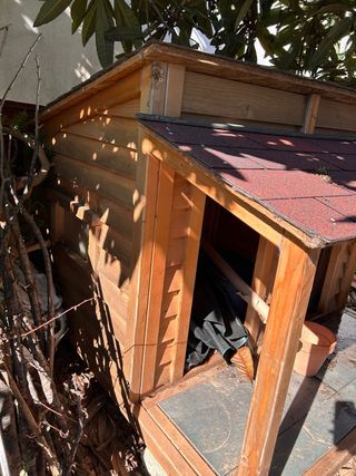 Caseta exterior para perro