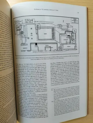 L'Alcúdia (Elche). Contextos arqueológicos