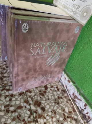 Vida animal "Naturaleza salvaje", en 3D y HD (S...