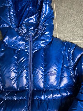 Chaquetón de plumas Lacoste Azul Brillante