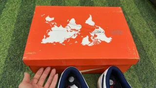 Nike Dunk Low Stranger Things