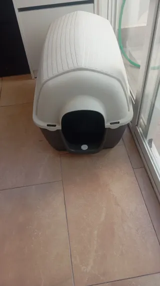 Caseta de perro