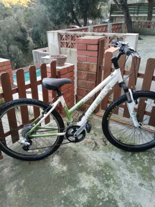 Bicicleta Trek mujer