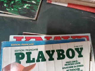Várias revistas vintage adulto. Tenho várias