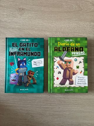 Libros Minecraft