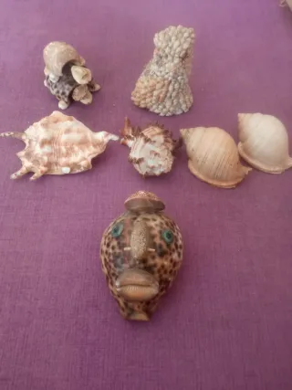 Figuras de conchas marinas vintage