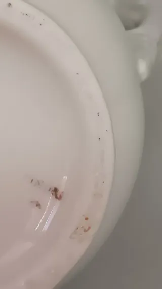 Teiera Richard Ginori in porcellana