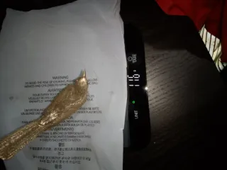 Pájaro Plata y ojos de rubí