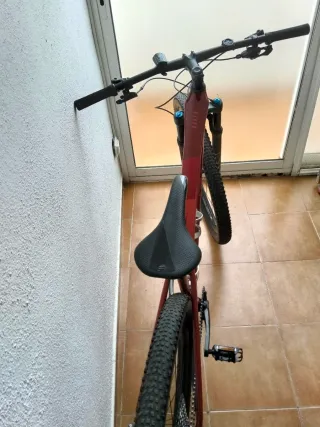 Focus Ellie Raven 8.7 Carbon MTB