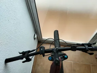 Focus Ellie Raven 8.7 Carbon MTB