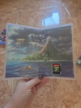 The Legend of Zelda Link's Awakening Switch