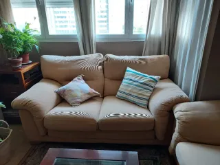 Conjunto Sofás 2 y 3 Plazas
