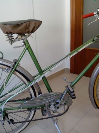 Bicicleta verde vintage