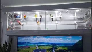 Jaula pájaros aluminio 2.5m x 0.70m