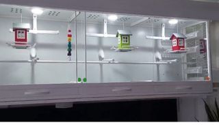 Jaula pájaros aluminio 2.5m x 0.70m