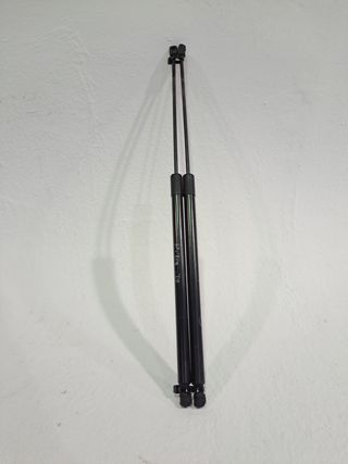 AMORTIGUADORES MALETERO / PORTON FORD C-MAX (CEU) 641702