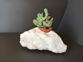 Macetero piedra y plástico