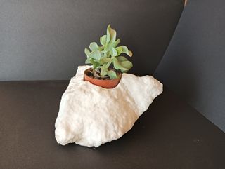 Macetero piedra y plástico