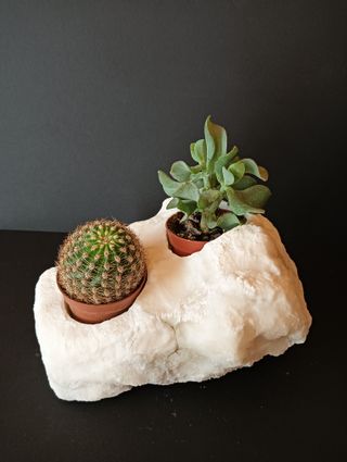 Macetero piedra
