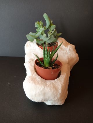 Macetero piedra