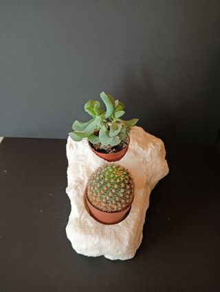 Macetero piedra