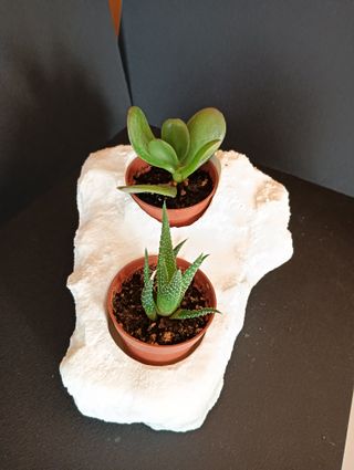 Macetero piedra