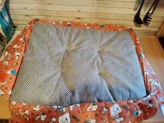 Cama para Perro Snoopy Roja