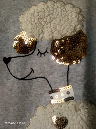 Sudadera niña capucha perro talla 10