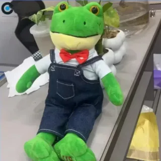 Peluche Rana René Lara Campos