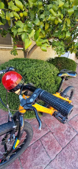 Bicicleta Infantil 16 Pulgadas