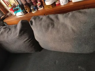 Sofa cama