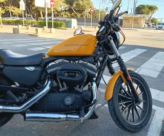 Harley Davidson 883 Amarilla