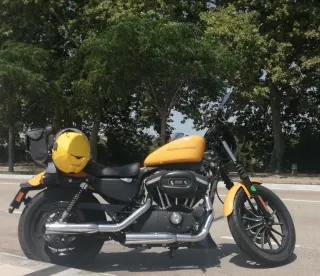 Harley Davidson 883 Amarilla