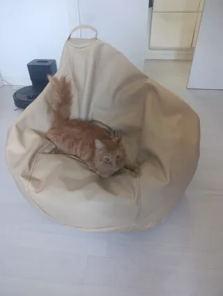 Puff beige con mensaje